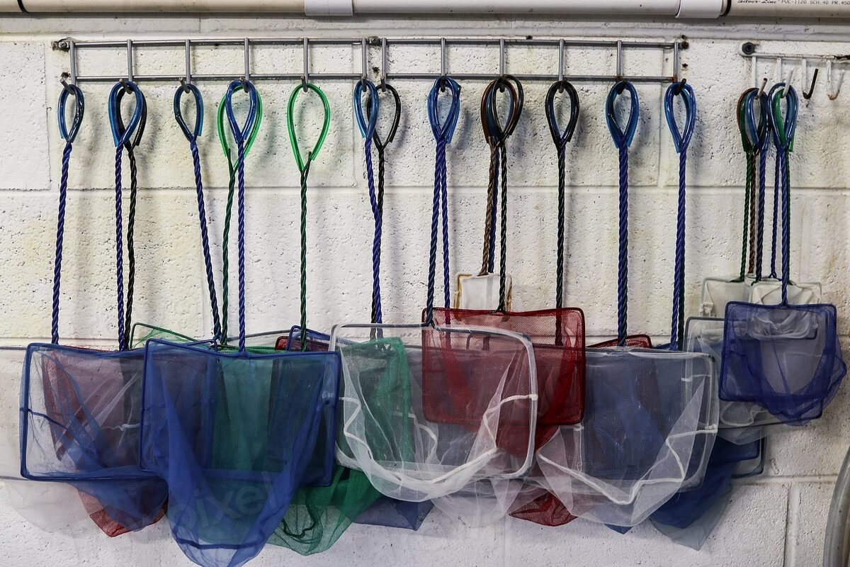 Colorful aquarium nets hanging on a wall